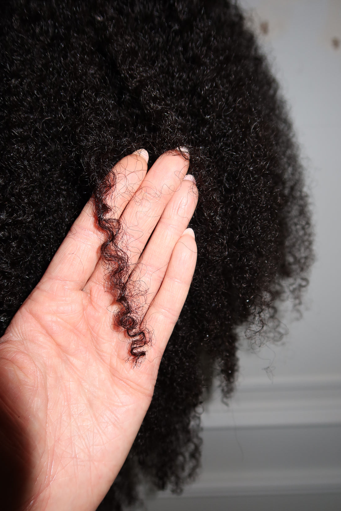 Curl 3 .1