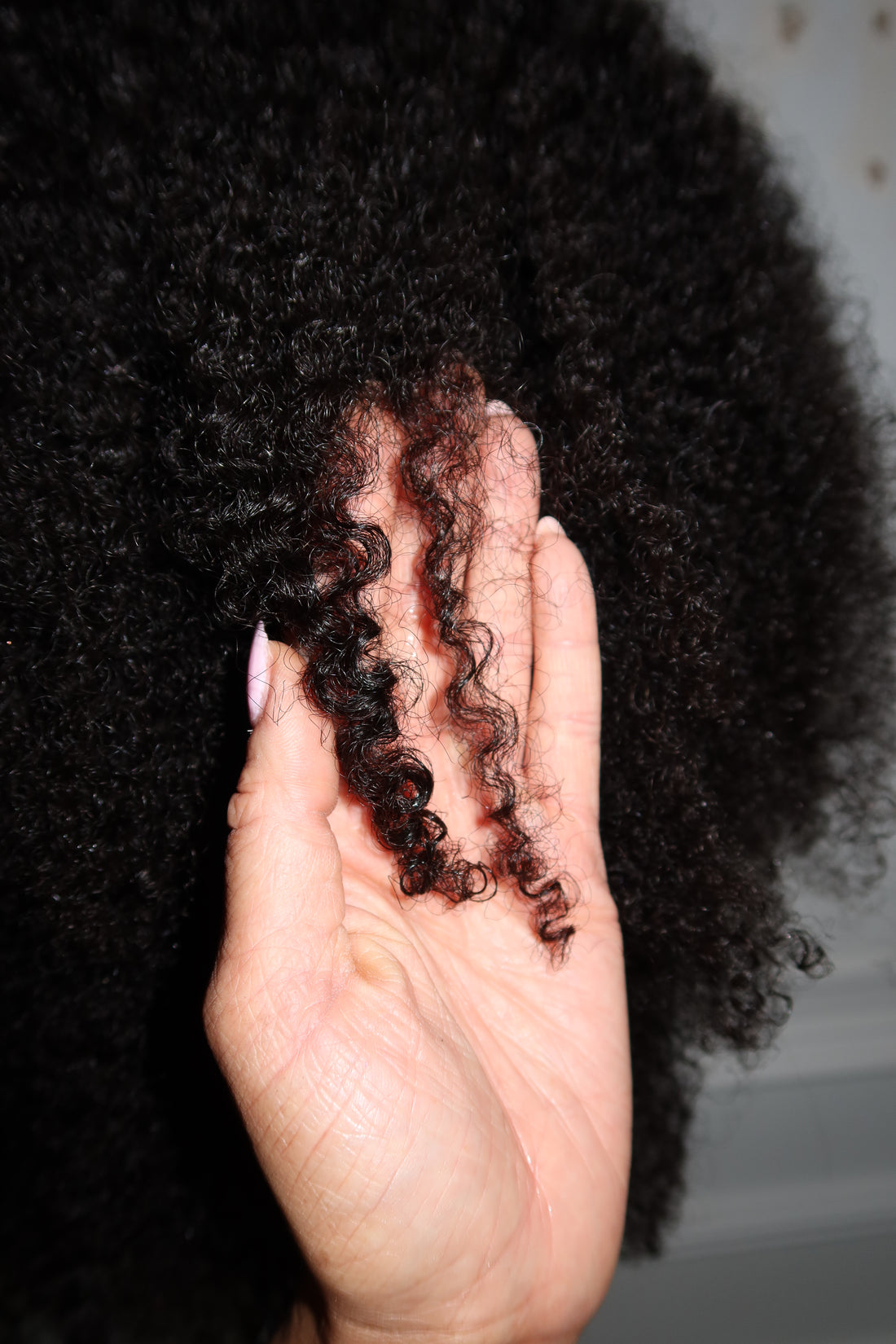 Curl 3 .1