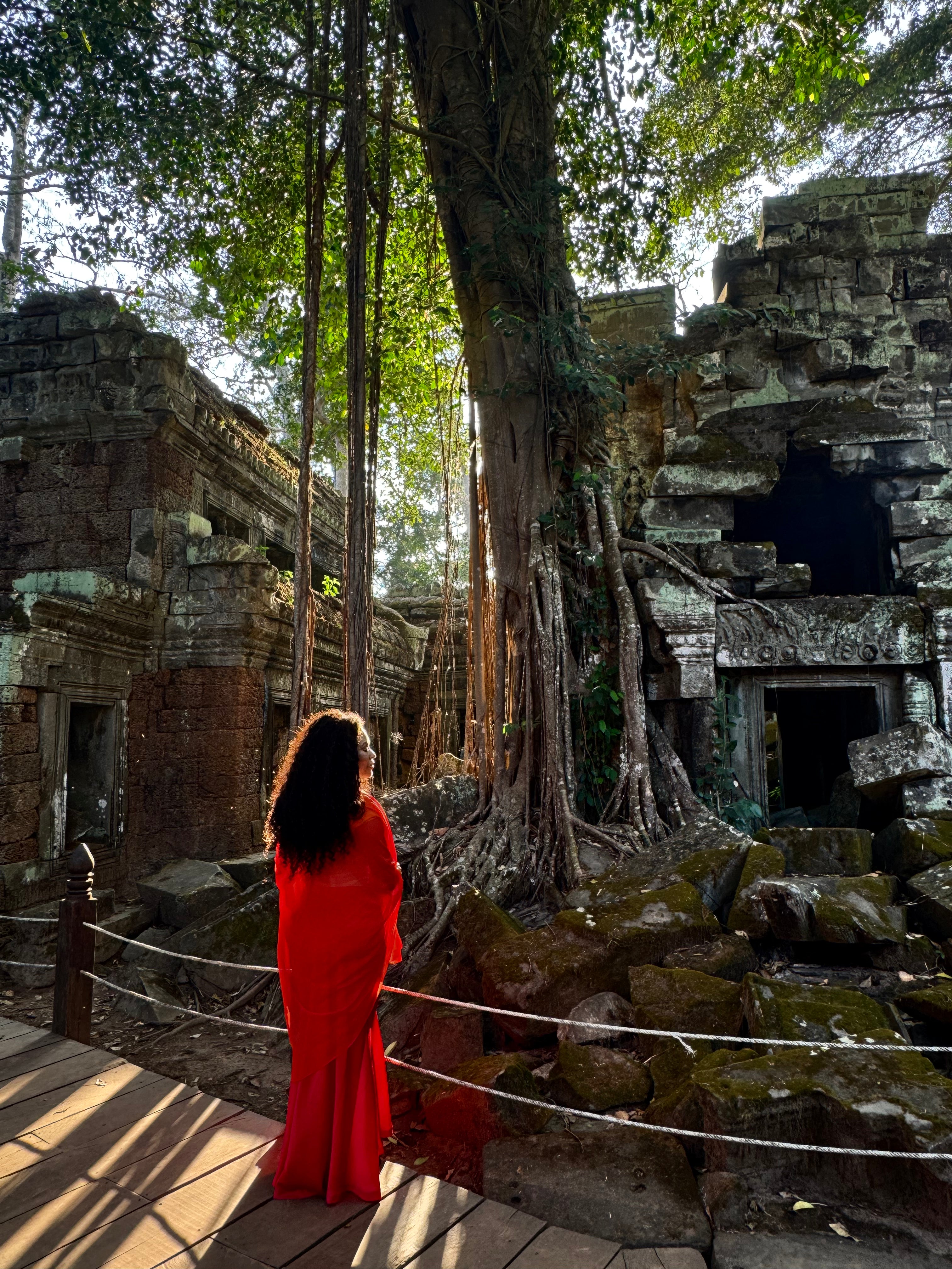 The Cambodian Collection